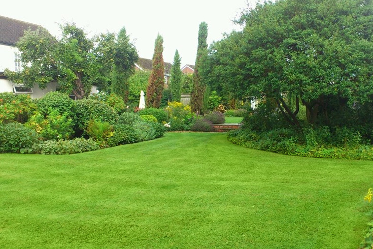 Garden clearances and cutting